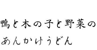 鴨と木の子と野菜の あんかけうどん